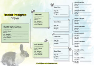 Free Printable Rabbit Pedigree Chart [PDF Included] - Printables Hub