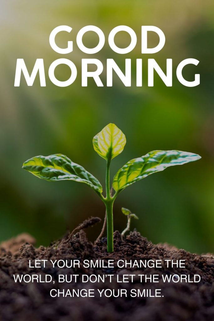Printable Good Morning Quotes [PDF Included]