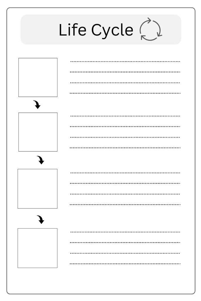 Printable Life Cycle Template