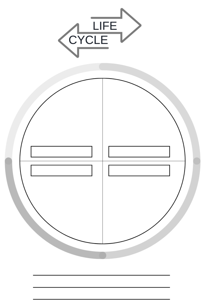 Printable Life Cycle Template