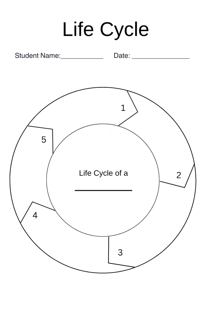 Printable Life Cycle Template