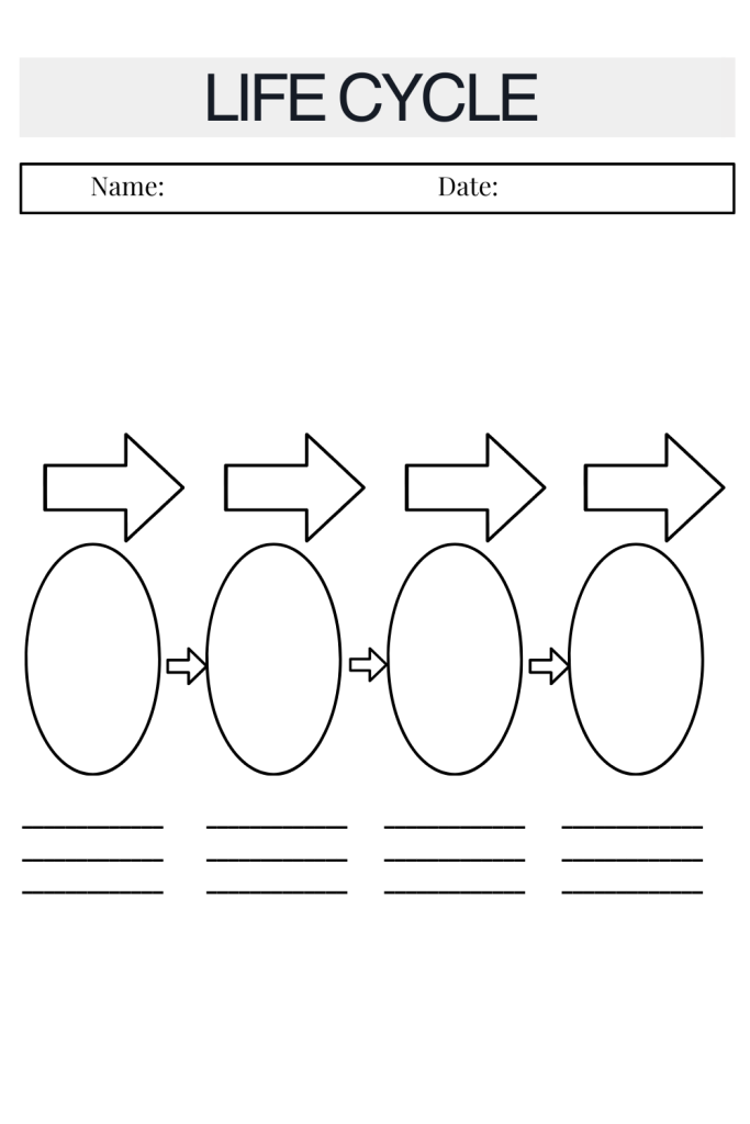Printable Life Cycle Template