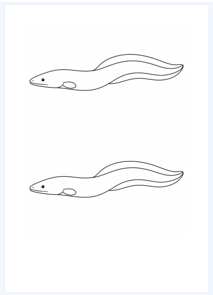 Fish Template