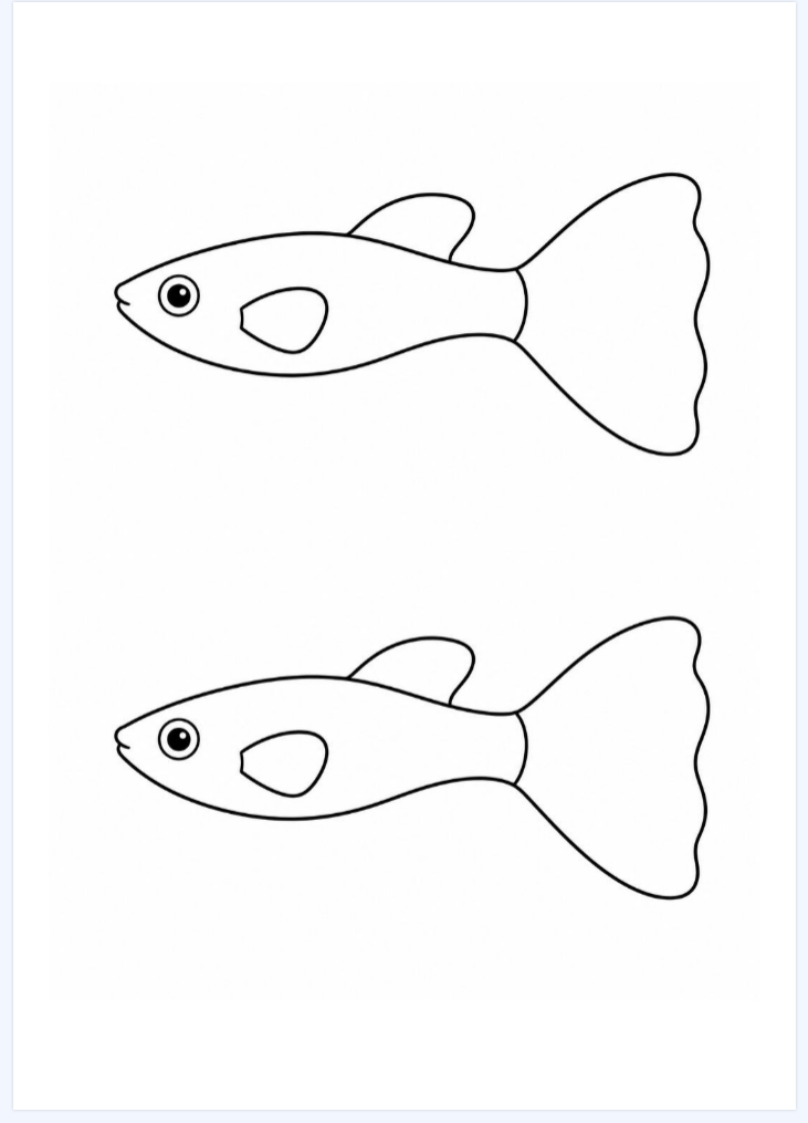 Fish Template