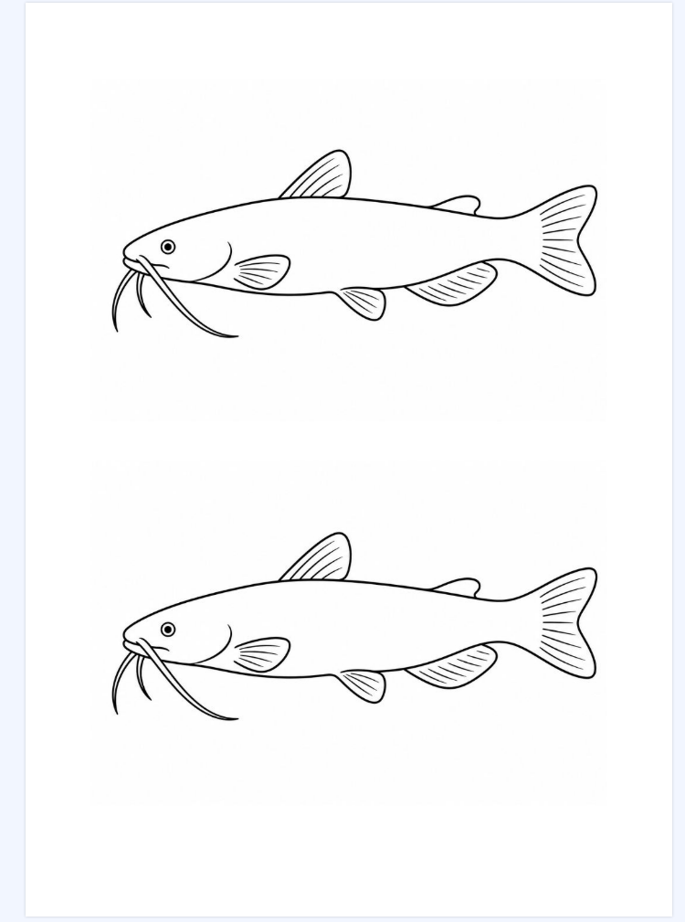 Fish Template
