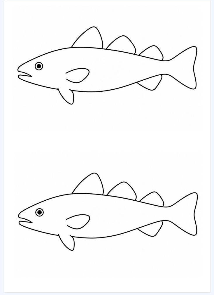 Fish Template