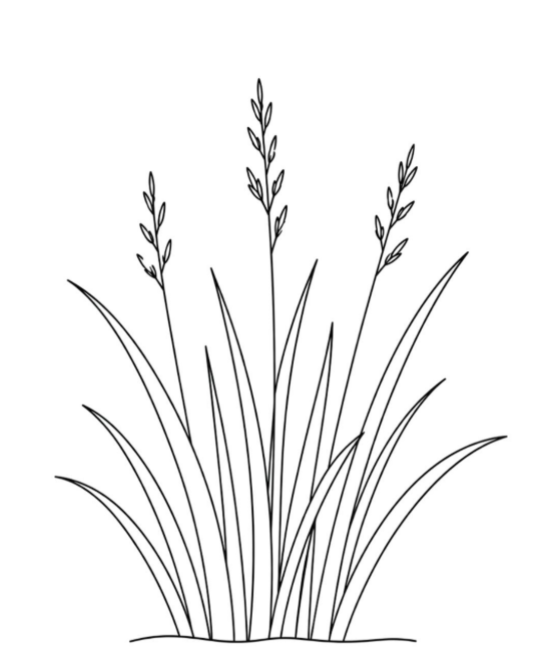 Printable Grass Template